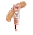 BB CREAM LATIKA BEGE MÉDIO - Imagem 1