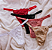 LINGERIE CALCINHAS RENDA JEALOUS (KIT COM 5) - Imagem 1