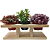 Suporte horizontal de mesa para plantas em Pinus - Imagem 5