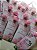 200 Mini lixas botão de rosa - Outubro Rosa - Tempo de florescer 02 - Imagem 1