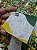 Sem personalizar - 20 Un Postal Copa do Mundo - Imagem 6