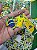 COMBO PAPELARIA COPA DO MUNDO - SEM PERSONALIZAR - FULL - Imagem 1