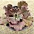 Kavaradossi - Suculenta Gibbiflora para jardim - Imagem 2