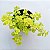 Sedum Makinoi Amarelo - Muda de Suculenta no tamanho de vaso 06. - Imagem 2