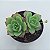 Graptoveria Jadeita - Muda de Suculenta COMPACTA no tamanho de vaso 09. - Imagem 1