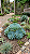 GLAUCA- Planta Suculenta para Jardim - Imagem 20