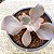 POWAY - Imagem 11
