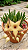 Stapelia Estrela Flor Amarela - Imagem 2