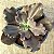 VILLAIN - Planta Suculenta Gibbiflora para Jardim - Imagem 9