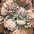 PEARL Importada - planta suculenta gibbiflora para Jardim - Imagem 1