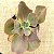 CHILE - Suculenta Gibbiflora Jardim - Imagem 2