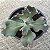 Suculenta Buble Gum Gibbiflora - Imagem 2
