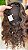 TOPO CRESPO C CLARO NATURAL 55CM 85GR 10X15 - Imagem 4