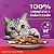 Whiskas Sachê Carne - Ração Úmida Para Gatos ao Molho, Adultos, 85g - Imagem 3