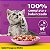 Ração Úmida Para Gatos Whiskas, Sachê Frango Ao Molho Filhotes 85G - Imagem 3