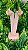 BRINCO EAR HOOK LISO DOURADO - Imagem 1