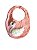 BABADOR CISNE - Imagem 3