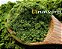 Moringa 100gr Premium - Nativo 100% Natural - Imagem 3