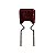 Capacitor Poliéster 1K x 50V = F65 102J - Imagem 1