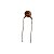 Capacitor Cerâmico 82pF x 50V = 82 - Imagem 1