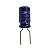 Capacitor Eletrolítico 10uF x 100V RD 85º Sg - Imagem 1