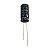 Capacitor Eletrolítico 10uF x 450V 105º B43851-F5106-M 10DX20A Epcos - Imagem 1
