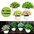 Kit Vaso De Planta Artifical 10cm - Imagem 3