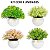Kit Vaso De Planta Artifical 10cm - Imagem 6