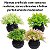 Kit Vaso De Planta Artifical 10cm - Imagem 8