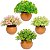 Kit Vaso De Planta Artifical 10cm - Imagem 5