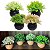 Kit Vaso De Planta Artifical 10cm - Imagem 1