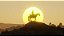 Red Dead 2 - PS4 Mídia Digital - Imagem 5