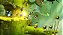 Rayman Legends Xbox One Mídia Digital - Imagem 3