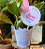 Rotulo para Suculenta Jardim Encantando + Tag Personalziada - Imagem 6