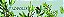 Própolis Verde Em Extrato Kit 2 unidades Apis Flora - Imagem 4