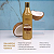Shampoo Banho de Verniz Forever Liss 500ml - Imagem 2
