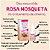Óleo Natural Rugól Rosa Mosqueta Epilê 100% Puro 10ml - Imagem 2
