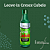 Shampoo Cresce Cabelo Forever Liss 500ml Original! - Imagem 2
