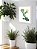 Quadro Decorativo Cacto Floral Sala Quarto + Vidro A4 - Imagem 3