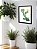 Quadro Decorativo Cacto Floral Sala Quarto + Vidro A4 - Imagem 4