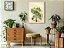Quadro Decorativo Monstera Abstrato Sala Quarto + Vidro A4 - Imagem 2