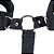 Kit Bondage Algema para Pulso e Pescoço Preto - 6903 - Imagem 4