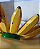Fruteira Banana Tropical Madeira - Imagem 3