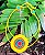 Colar Bambole - Imagem 1