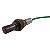 Sonda Lambda NTK OZA488-D6 Ford Focus 1.6 8V - Cód.2484 - Imagem 6
