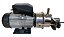 Bomba De Leite Para Canalizada/transferidor Motor 3/4 Bivolt - Imagem 3