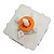 Timer 23min Com Molho Wanke Paola Pietra Priscila Original - Imagem 1
