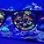 ÓCULOS VIZUALIZAR CORAIS - BOX FISH - Imagem 2