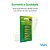 Kit 6 Blisters Pilhas Alcalina AAA com 16 unidades Elgin Palito - Imagem 3