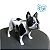 Impressão 3D - Eternize seu Pet - Realista - Imagem 3